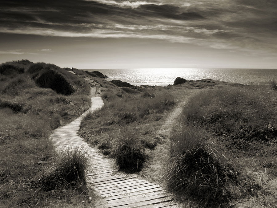 Summer Family Holidays in Anglesey