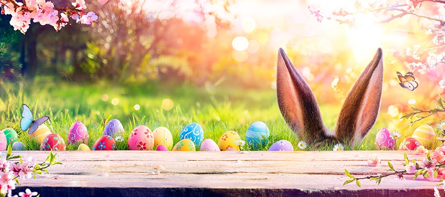 Where to Go on Your Easter Holiday in North Wales: The Best Events in Anglesey