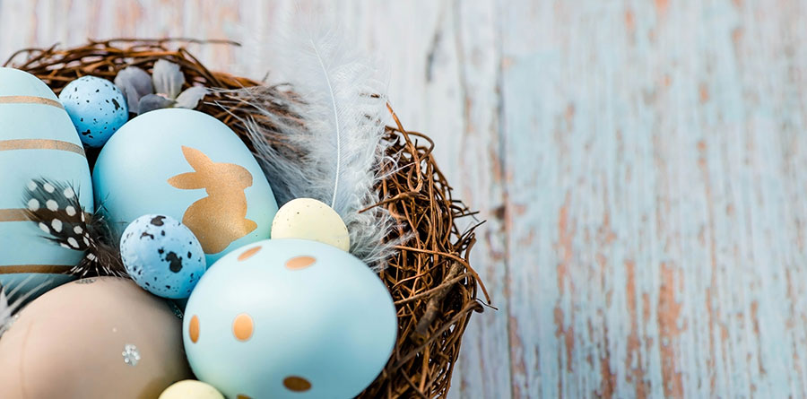 Easter Activities in Anglesey