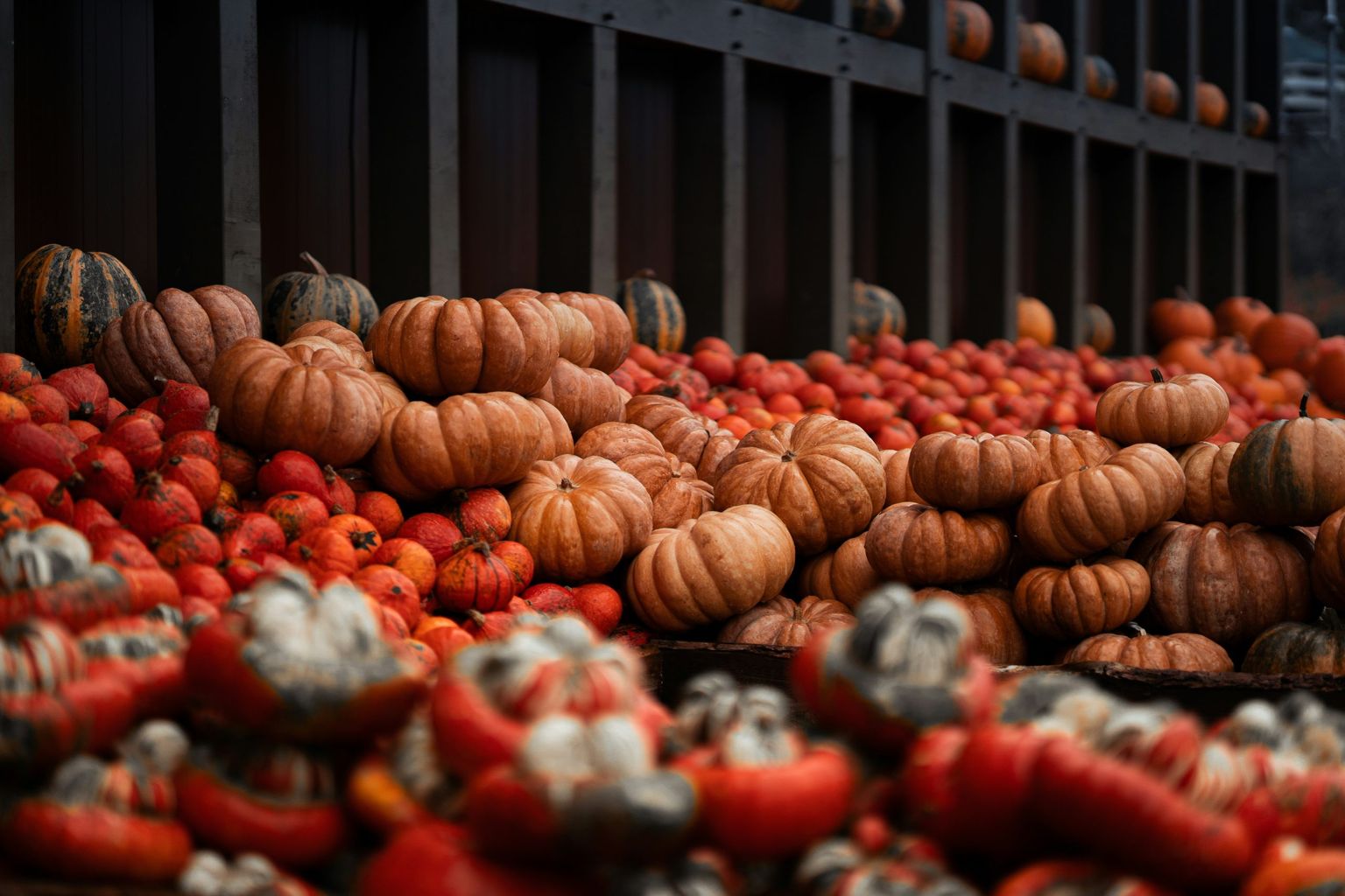 October breaks