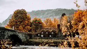 Back to School Break