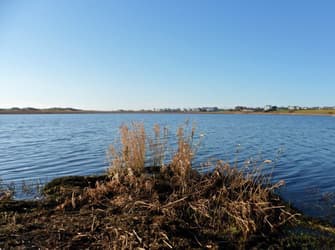 Photo of Felin Traeth Cottage (Sleeps 2)
