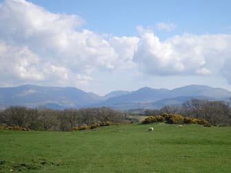 Photo of Fodol Cottages - Lavender Cottage