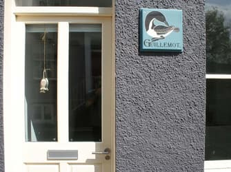 Photo of Guillemot