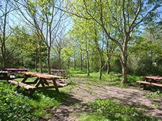 Photo of Hendy - Tyddyn Mon