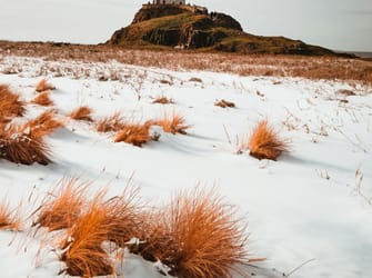 Winter Pricing Strategies for Competitive Bookings